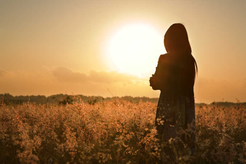 美丽的女人在夏天的草甸上等待黎明的太阳